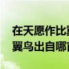 在天愿作比翼鸟指的是谁的爱情 在天愿为比翼鸟出自哪首诗