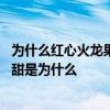 为什么红心火龙果比白心火龙果甜 红心火龙果比白心火龙果甜是为什么