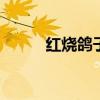 红烧鸽子怎么做 红烧鸽子的做法