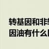 转基因和非转基因油的区别 非转基因跟转基因油有什么区别