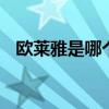欧莱雅是哪个的品牌 欧莱雅是什么的品牌