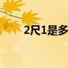 2尺1是多少厘米 2尺1等于多少厘米