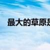 最大的草原是哪个草原 第一大草原叫什么
