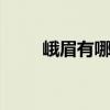 峨眉有哪些特色小吃 四川峨眉特产