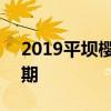 2019平坝樱花开了吗 2019平坝樱花农场花期