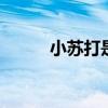 小苏打是什么东西 小苏打是什么