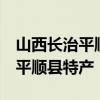 山西长治平顺县知名特产有哪些  适合带走的平顺县特产