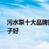 污水泵十大品牌排行榜 污水泵品牌十大排名 污水泵哪个牌子好
