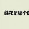 赣花是哪个的品牌 赣花是属于哪个的品牌