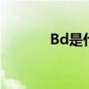 Bd是什么职位 Bd具备的条件
