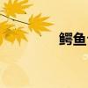 鳄鱼公园酒店（鳄鱼公园）
