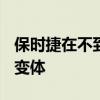 保时捷在不到五分钟的时间内解释了所有911变体