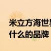 米立方海世界是哪个的品牌 米立方海世界是什么的品牌
