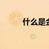 什么是金丝楠木 金丝楠木是什么
