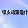 绿皮鸡蛋是什么品种鸡 什么品种鸡下绿壳蛋