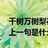 千树万树梨花开的上一句 千树万树梨花开的上一句是什么