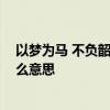以梦为马 不负韶华是什么意思 愿你以梦为马不负韶华是什么意思