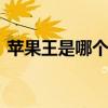 苹果王是哪个的品牌 苹果王衣服是什么品牌