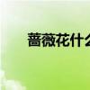 蔷薇花什么时候开 蔷薇花的开花时间
