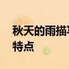 秋天的雨描写了哪些特点 秋天的雨有哪三种特点