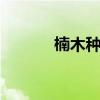楠木种类 楠木种类总共有几种