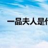 一品夫人是什么地位 一品夫人是什么意思