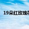 19朵红玫瑰花语是什么 19朵红玫瑰的花语