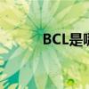 BCL是哪个的品牌 BCL是哪个的