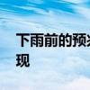 下雨前的预兆有哪些 下雨前的预兆有哪些表现