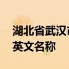 湖北省武汉市用英语怎么说 湖北省武汉市的英文名称