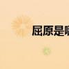屈原是哪里人 屈原是属于哪里人