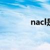 nacl是什么 nacl指的是什么