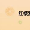 红楼梦梗概 红楼梦故事梗概