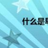 什么是早教机 早教机是什么东西