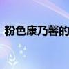 粉色康乃馨的花语 粉色康乃馨的花语是什么