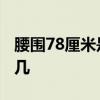 腰围78厘米是几尺几 腰围78厘米到底是几尺几