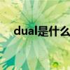 dual是什么意思车上的 dual是什么意思