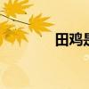 田鸡是什么 田鸡是什么动物