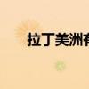 拉丁美洲有哪些 拉丁美洲由哪些组成