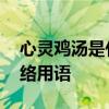 心灵鸡汤是什么意思 心灵鸡汤是什么意思网络用语 
