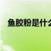 鱼胶粉是什么东西 鱼胶粉是什么东西做的