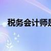 税务会计师是什么 税务会计师是什么意思