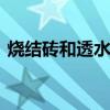烧结砖和透水砖区别 烧结砖和透水砖哪个好