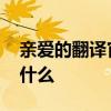 亲爱的翻译官大结局 亲爱的翻译官大结局是什么