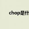 chop是什么意思 chop的意思是什么