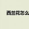 西兰花怎么炒才好吃 素炒西兰花的做法