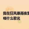 我在狂风暴雨夜里哭到沙哑什么歌 我在狂风暴雨夜里哭到沙哑什么歌名