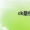 ck是什么牌子 ck是什么品牌