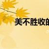 美不胜收的意思 美不胜收的意思解释