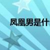 凤凰男是什么意思  凤凰男的意思是什么